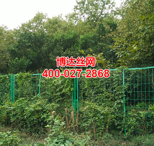 框架護欄網哪裏有賣的