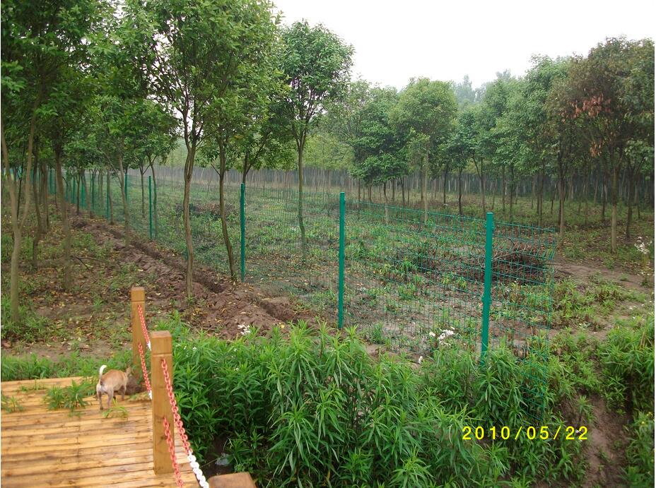 <b>問：種植園防盜防爬圍網選哪（nǎ）種好</b>