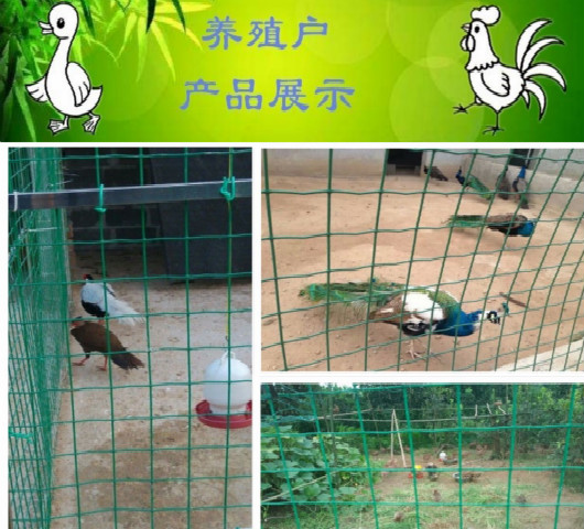 姝︽眽（mò）鍏繪畺緗（xiāng）/姝︽眽（mò）鍏