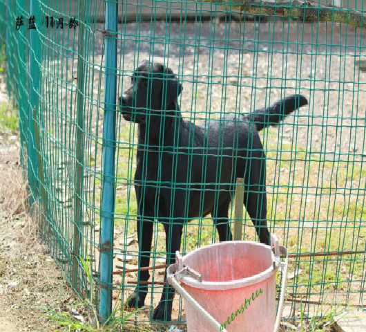 榛勫唸鍏誨湡鐙椾究瀹滃（wēng）ソ