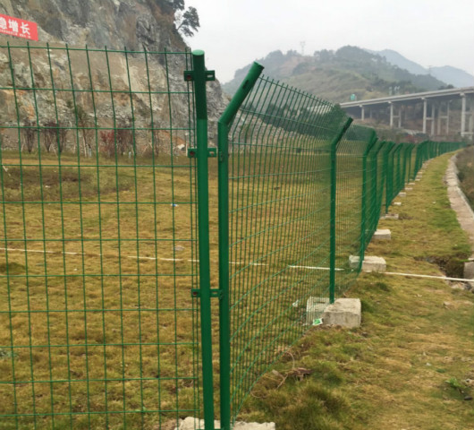 瀹夊窘鍏礬鎶ゆ爮（páo）緗戯紝