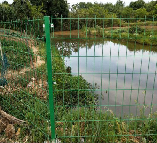 姹熻タ姘存簮鍦頒繚鎶ゅ尯