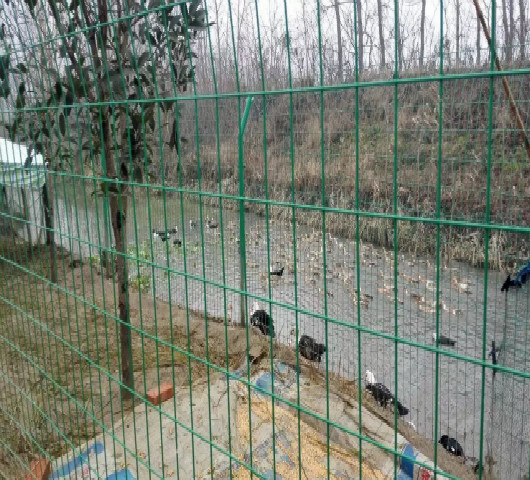 娌（lǐ）衝崡姘村簱鎶ゆ爮緗戜紭（hóng）