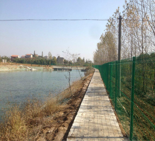 瀹夊窘鎶ゅ煄娌抽搧涓濈綉