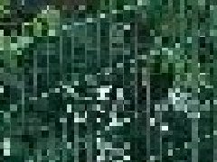 <b>武漢護（hù）欄廠家（jiā）淺述網片柵欄如何安裝</b>