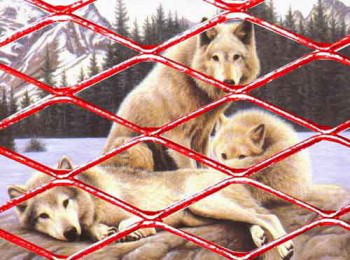 武漢現貨鋼板網廠