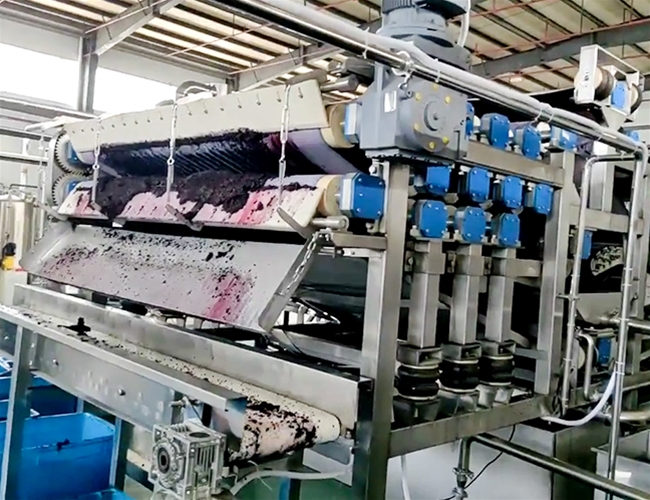 帶式（shì）壓榨機客戶桑葚榨汁（zhī）使用現場
